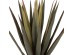ΔΙΑΚΟΣΜΗΤΙΚΟ ΣΥΝΘΕΤΙΚΟ ΦΥΤΟ HM7985 SISAL AGAVE ΣΕ ΓΛΑΣΤΡΑ Φ13,5x13-76Υεκ. ΔΙΑΚΟΣΜΗΤΙΚΟ ΣΥΝΘΕΤΙΚΟ ΦΥΤΟ HM7985 SISAL AGAVE ΣΕ ΓΛΑΣΤΡΑ Φ13,5x13-76Υεκ.