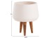 ΓΛΑΣΤΡΑ ΕΣΩΤ.ΧΩΡΟΥ QUAN HM4680.02M FIBER CEMENT ΛΕΥΚΟ--ΒΑΣΗ TEAK Φ35x50Υεκ ΓΛΑΣΤΡΑ ΕΣΩΤ.ΧΩΡΟΥ QUAN HM4680.02M FIBER CEMENT ΛΕΥΚΟ--ΒΑΣΗ TEAK Φ35x50Υεκ