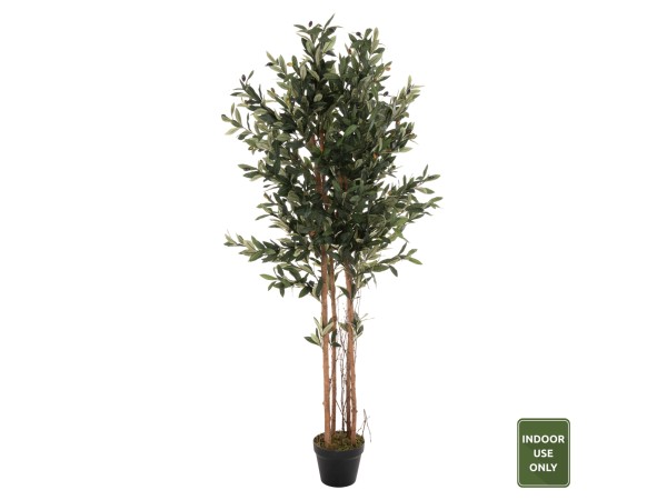 ΔΙΑΚΟΣΜΗΤΙΚΟ ΣΥΝΘΕΤΙΚΟ ΦΥΤΟ HM4009 ΕΛΙΑ ΣΕ ΓΛΑΣΤΡΑ 155Υεκ. ΔΙΑΚΟΣΜΗΤΙΚΟ ΣΥΝΘΕΤΙΚΟ ΦΥΤΟ HM4009 ΕΛΙΑ ΣΕ ΓΛΑΣΤΡΑ 155Υεκ.