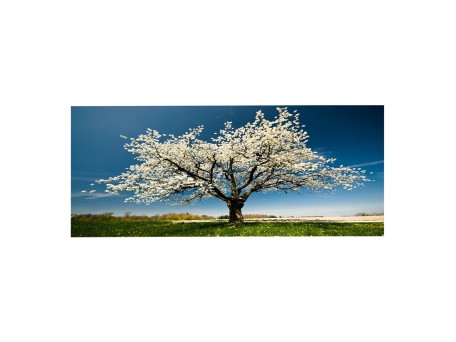 ΠΙΝΑΚΑΣ TOIXOY ΣΕΙΡΑ GOBI HM4792 ΕΚΤΥΠΩΜΕΝΟΣ ΚΑΜΒΑΣ 120x3(πάχος)x50Υεκ.