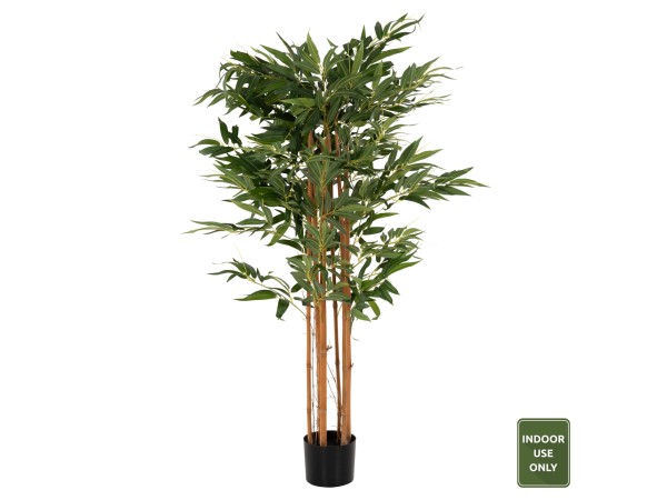 ΔΙΑΚΟΣΜΗΤΙΚΟ ΣΥΝΘΕΤΙΚΟ ΦΥΤΟ HM4003 BAMBOO ΣΕ ΓΛΑΣΤΡΑ 155Υεκ. ΔΙΑΚΟΣΜΗΤΙΚΟ ΣΥΝΘΕΤΙΚΟ ΦΥΤΟ HM4003 BAMBOO ΣΕ ΓΛΑΣΤΡΑ 155Υεκ.