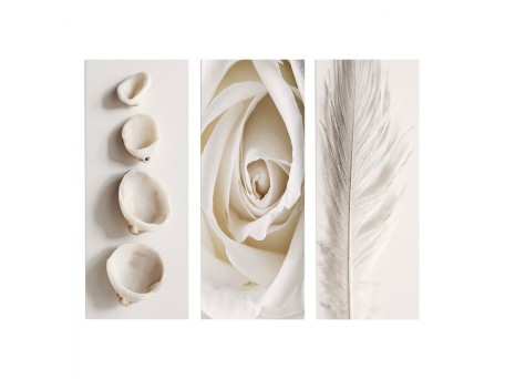 ΠΙΝΑΚΑΣ ΤΡΙΠΤΥΧΟ MDF NATURAL ELEMENTS HM7204.05 60X0,3X50 εκ.