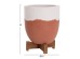 ΓΛΑΣΤΡΕΣ ΣΕΤ 2ΤΜΧ SEON HM4686.08 TERRACOTTA ΣΕ ΛΕΥΚΟ & ΤΕΡΑΚΟΤΑ--TEAK ΒΑΣΗ