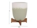 ΓΛΑΣΤΡΕΣ ΣΕΤ 2ΤΜΧ SEON HM4686.09 TERRACOTTA ΣΕ ΛΕΥΚΟ & ΠΡΑΣΙΝΟ--TEAK ΒΑΣΗ