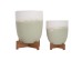 ΓΛΑΣΤΡΕΣ ΣΕΤ 2ΤΜΧ SEON HM4686.09 TERRACOTTA ΣΕ ΛΕΥΚΟ & ΠΡΑΣΙΝΟ--TEAK ΒΑΣΗ
