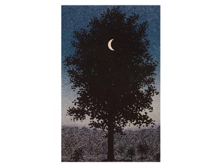 ΠΙΝΑΚΑΣ TOIXOY ΣΕΙΡΑ GOBI HM4850 ΕΚΤΥΠΩΜΕΝΟΣ ΚΑΜΒΑΣ 45x3(πάχος)x70Yεκ.