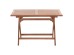 ΤΡΑΠΕΖΙ ΠΤΥΣΣΟΜΕΝΟ ΟΡΘΟΓΩΝΙΟ ERIS HM18117 ΞΥΛΟ TEAK--ΦΥΣΙΚΟ 120x70x76Υεκ. ΤΡΑΠΕΖΙ ΠΤΥΣΣΟΜΕΝΟ ΟΡΘΟΓΩΝΙΟ ERIS HM18117 ΞΥΛΟ TEAK--ΦΥΣΙΚΟ 120x70x76Υεκ.