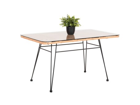 ΤΡΑΠΕΖΙ ΕΞ.ΧΩΡΟΥ ΧΑΜΗΛΟ ALLEGRA HM6076 ΜΑΥΡΟ ΜΕΤΑΛΛΟ-ΜΠΕΖ WICKER 95X55X51.5Yεκ.