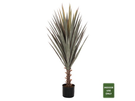 ΔΙΑΚΟΣΜΗΤΙΚΟ ΣΥΝΘΕΤΙΚΟ ΦΥΤΟ HM7987 SISAL AGAVE ΣΕ ΓΛΑΣΤΡΑ 120Υεκ.