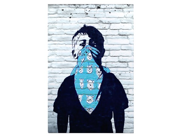 ΠΙΝΑΚΑΣ TOIXOY ΣΕΙΡΑ GOBI HM4829 ΕΚΤΥΠΩΜΕΝΟΣ ΚΑΜΒΑΣ 50x3(πάχος)x70Yεκ.