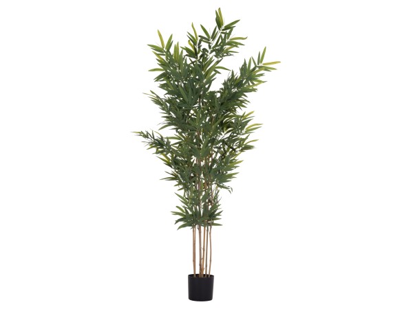 ΔΙΑΚΟΣΜΗΤΙΚΟ ΣΥΝΘΕΤΙΚΟ ΦΥΤΟ HM4737 BAMBOO ΣΕ ΓΛΑΣΤΡΑ 20x95x200Υεκ. ΔΙΑΚΟΣΜΗΤΙΚΟ ΣΥΝΘΕΤΙΚΟ ΦΥΤΟ HM4737 BAMBOO ΣΕ ΓΛΑΣΤΡΑ 20x95x200Υεκ.