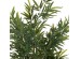 ΔΙΑΚΟΣΜΗΤΙΚΟ ΣΥΝΘΕΤΙΚΟ ΦΥΤΟ HM4736 BAMBOO ΣΕ ΓΛΑΣΤΡΑ 20x95x180Υεκ.