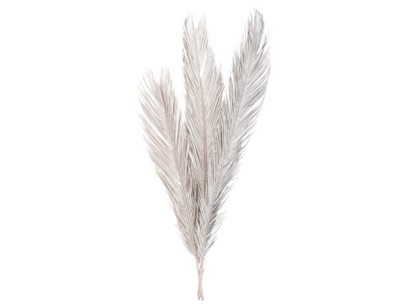 ΔΙΑΚΟΣΜΗΤΙΚΟ ΑΠΟΞΗΡΑΜΕΝΟ ΣΕΤ 3 ΦΥΛΛΩΝ ΦΟΙΝΙΚΑ HM7957 ΑΣΗΜΙ 110Υεκ. ΔΙΑΚΟΣΜΗΤΙΚΟ ΑΠΟΞΗΡΑΜΕΝΟ ΣΕΤ 3 ΦΥΛΛΩΝ ΦΟΙΝΙΚΑ HM7957 ΑΣΗΜΙ 110Υεκ.