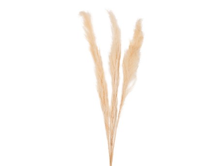 ΔΙΑΚΟΣΜΗΤΙΚΟ ΜΠΟΥΚΕΤΟ ΑΠΟΞΗΡΑΜΕΝΑ ΚΑΛΑΜΙΑ HM7961 ΛΕΥΚΟ 3TMX 140Υεκ.