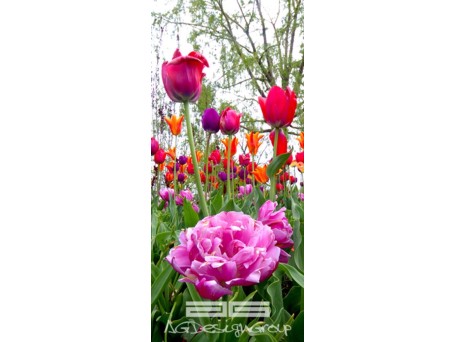 0219FΤ ΣΤΟΚ Π.Χ ΦΩΤΟΤΑΠΕΤΣΑΡΙΑ 2012 Α(CREATIVE) A&G 90*202 NewPlan