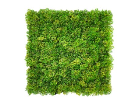 ΠΑΝΕΛ ΦΥΛΛΩΣΙΑΣ MOSS 50 Χ 50 A509 NewPlan