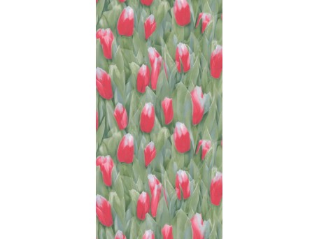 ΤΑΠΕΤΣΑΡΙΑ REALITY ΣΤΟΚ Π.Χ 51124610 NewPlan