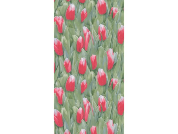 ΤΑΠΕΤΣΑΡΙΑ REALITY ΣΤΟΚ Π.Χ 51124610 NewPlan