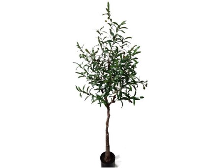 OLIVE TREE NP4817_160_22   ΥΨΟΣ 160cm NewPlan