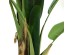 BANANA TREE NP014_120_22 ΥΨΟΣ 120cm NewPlan BANANA TREE NP014_120_22 ΥΨΟΣ 120cm NewPlan