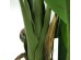 BANANA TREE NP017_240_22 ΥΨΟΣ 240cm NewPlan BANANA TREE NP017_240_22 ΥΨΟΣ 240cm NewPlan
