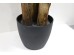 BANANA TREE NP6327_180_22 ΥΨΟΣ 180cm NewPlan BANANA TREE NP6327_180_22 ΥΨΟΣ 180cm NewPlan