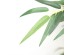 BAMBOO  NP824_153  ΥΨΟΣ 153cm NewPlan