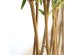 BAMBOO IN POT (L90*W30) NP827_180_UV ΥΨΟΣ 180cm NewPlan BAMBOO IN POT (L90*W30) NP827_180_UV ΥΨΟΣ 180cm NewPlan