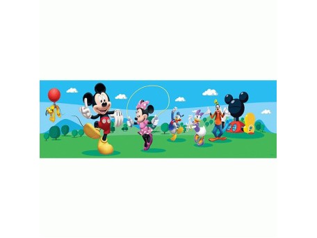 8069WBD ΣΤΟΚ Π.Χ  ΜΠΟΡΝΤΟΥΡΑ 0.14*5 H ΤΟΙΧΟΥ DISNEY A&G NewPlan