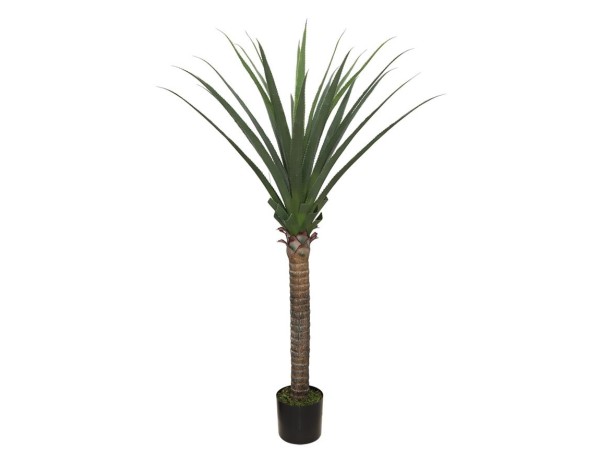 AGAVE TREE NP802_160 ΥΨΟΣ 160cm NewPlan AGAVE TREE NP802_160 ΥΨΟΣ 160cm NewPlan