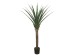 AGAVE TREE NP802_160 ΥΨΟΣ 160cm NewPlan AGAVE TREE NP802_160 ΥΨΟΣ 160cm NewPlan