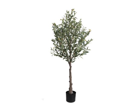 OLIVE TREE NP439_150  ΥΨΟΣ 150cm NewPlan