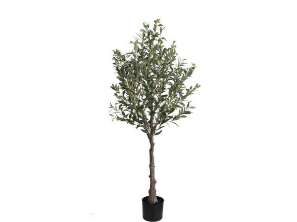 OLIVE TREE NP439_150 ΥΨΟΣ 150cm NewPlan OLIVE TREE NP439_150 ΥΨΟΣ 150cm NewPlan