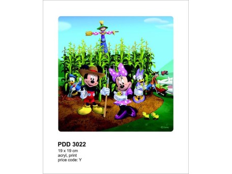 3022PDD ΣΤΟΚ Π.Χ ΔΙΑΚΟΣΜΗΤΙΚΟ ΠΑΝΕΛ ΠΛΕΞΙΓΚΛΑΣ Y (DECOPLEX) DISNEY A&G 019*019 NewPlan