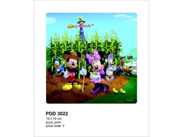 3022PDD ΣΤΟΚ Π.Χ ΔΙΑΚΟΣΜΗΤΙΚΟ ΠΑΝΕΛ ΠΛΕΞΙΓΚΛΑΣ Y (DECOPLEX) DISNEY A&G 019*019 NewPlan