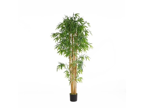 BAMBOO NP0076_210 ΥΨΟΣ 210cm NewPlan BAMBOO NP0076_210 ΥΨΟΣ 210cm NewPlan