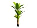 BANANA TREE NP017_240_22 ΥΨΟΣ 240cm NewPlan BANANA TREE NP017_240_22 ΥΨΟΣ 240cm NewPlan