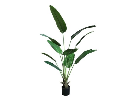 BANANA TREE NP1411_160  ΥΨΟΣ 160cm NewPlan