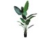 BANANA TREE NP1412_180  ΥΨΟΣ 180cm NewPlan