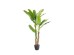 BANANA TREE NP6327_180_22 ΥΨΟΣ 180cm NewPlan BANANA TREE NP6327_180_22 ΥΨΟΣ 180cm NewPlan