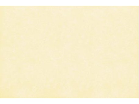 ΤΑΠΕΤΣΑΡΙΑ SALINASNEW ΣΤΟΚ Π.Χ 29001 NewPlan