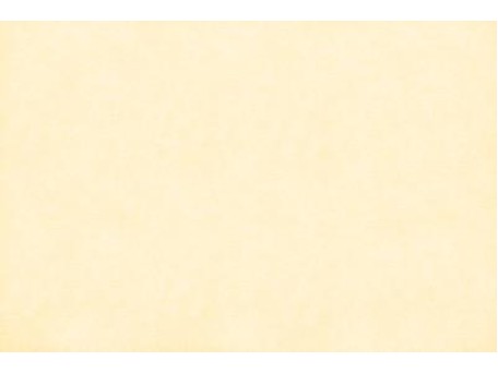 ΤΑΠΕΤΣΑΡΙΑ SALINASNEW ΣΤΟΚ Π.Χ 29004 NewPlan