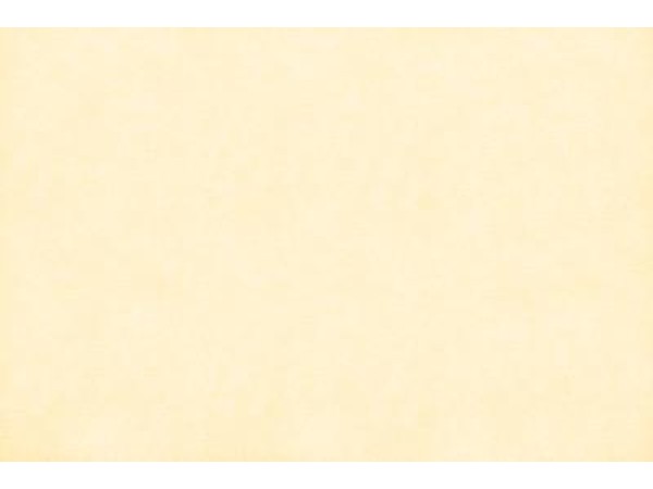 ΤΑΠΕΤΣΑΡΙΑ SALINASNEW ΣΤΟΚ Π.Χ 29004 NewPlan