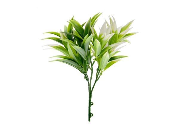 ΔΙΑΚΟΣΜΗΤΙΚΟ ΜΠΟΥΚΕΤΟ (SET 10ΤΜΧ) AMALFI W007 PODOCARPUS NAGI NewPlan ΔΙΑΚΟΣΜΗΤΙΚΟ ΜΠΟΥΚΕΤΟ (SET 10ΤΜΧ) AMALFI W007 PODOCARPUS NAGI NewPlan