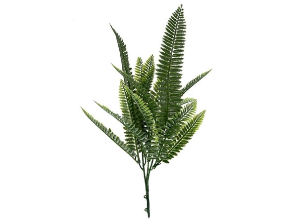 ΔΙΑΚΟΣΜΗΤΙΚΟ ΜΠΟΥΚΕΤΟ (SET 10ΤΜΧ) AMALFI W027 SPLEENWORT NewPlan