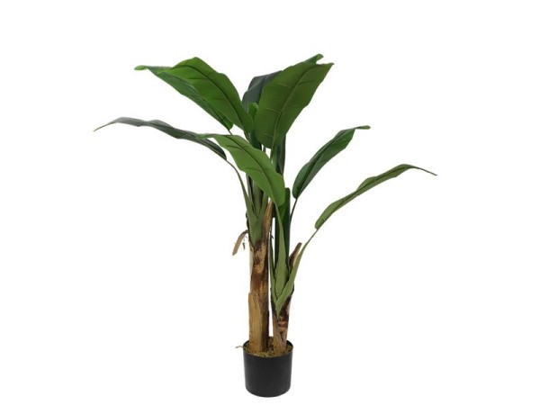 BANANA TREE NP702_145  ΥΨΟΣ 145cm NewPlan