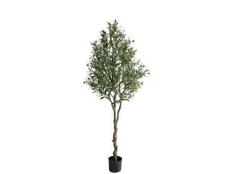 OLIVE TREE NP410_180  ΥΨΟΣ 180cm NewPlan