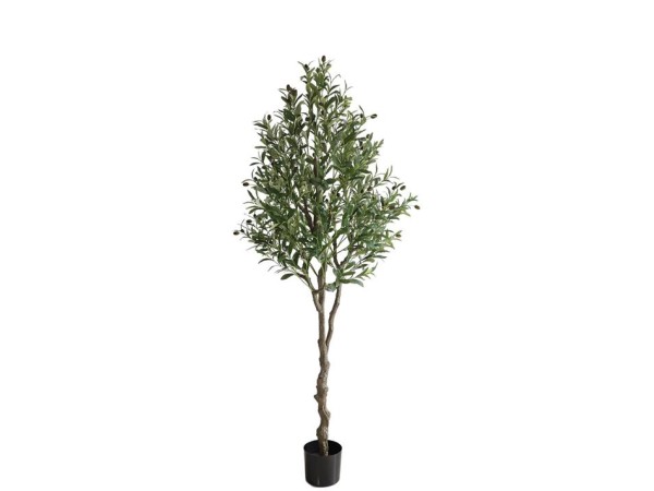 OLIVE TREE NP410_180  ΥΨΟΣ 180cm NewPlan