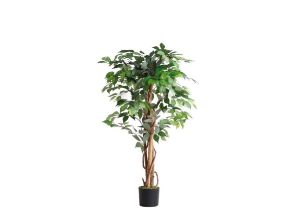 FICUS TREE NP0078_120 YΨΟΣ 120cm NewPlan FICUS TREE NP0078_120 YΨΟΣ 120cm NewPlan