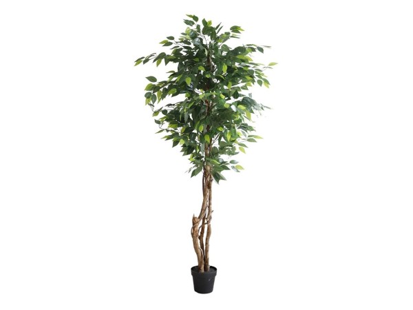 FICUS TREE NP5208_150   ΥΨΟΣ 150cm NewPlan